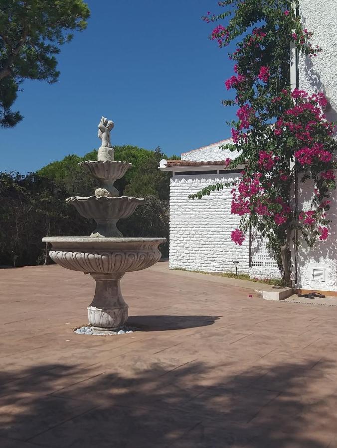 マタラスカニャスEntre Pinos Y Playaアパートメント エクステリア 写真